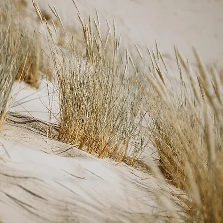 Boho Sfera Tatil Evi