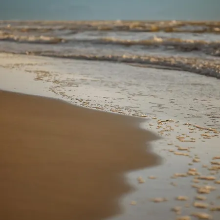 Tatil Evi Boho Sfera Kopalino