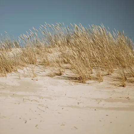 Tatil Evi Boho Sfera *