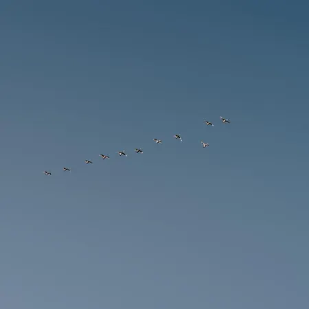 Tatil Evi Boho Sfera