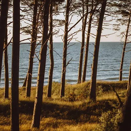 Tatil Evi Boho Sfera Kopalino