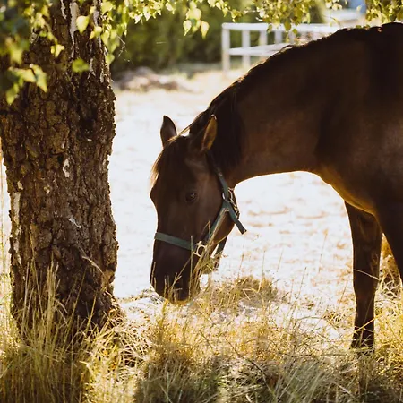 Tatil Evi Boho Sfera *